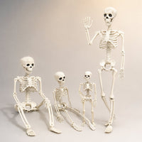 Posable Full Body Skeleton Halloween Decoration