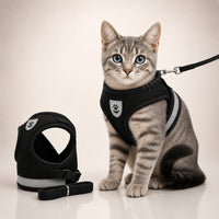 Reflective Cat Harness & Lead Set | Felinique
